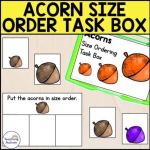 Acorn Size Ordering Task Box | Acorn Task Box for Special Education