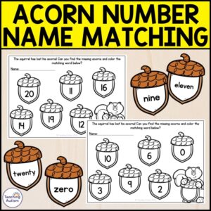 Acorn Number to Number Name Matching 0-20 Activity Hunt