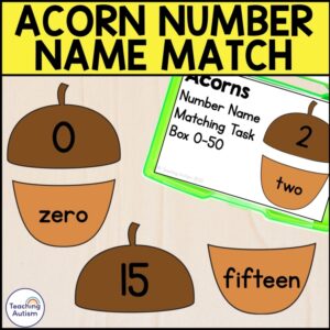 Acorn Number Name Matching Task Box | Acorn Task Box for Special Education