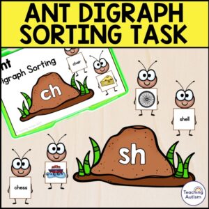 Ant Digraph Matching Task Box | Digraph Task Box for Special Education
