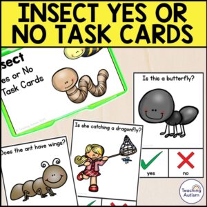 Insect Yes or No Question Cards | Insect Task Box