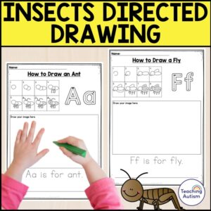Insect Directed Drawing Worksheets | No Prep Bugs and Insects Worksheets