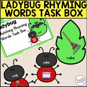 Ladybug Rhyming Words Task Box | Insect Task Box