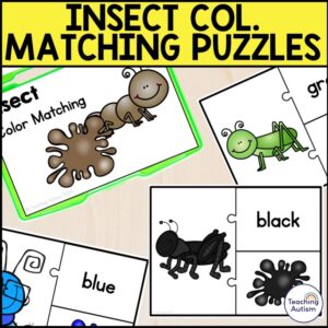 Insect Color Matching Task Box | Bugs and Insects Activities