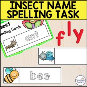 Insect Spelling Task Box | Bugs and Insects Activities