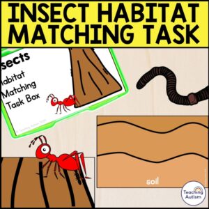 Insect Habitat Matching Task Box | Bugs and Insects Activities