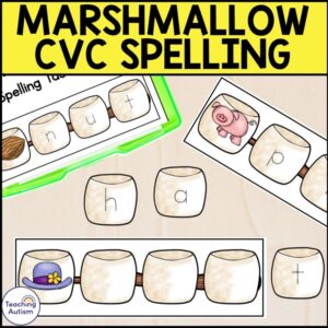 Toasting Marshmallow Spelling CVC Words Task Box | Camping Activities