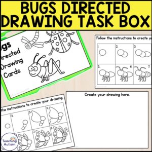 Bugs Directed Drawing Task Box | Spring Task Boxes for Special Education