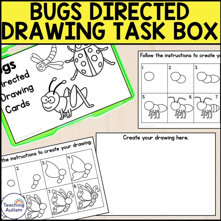 Bugs Directed Drawing Task Box | Spring Task Boxes for Special Education