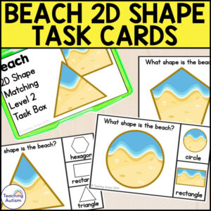 Beach 2D Shape Matching Task Box | Summer Math Activities