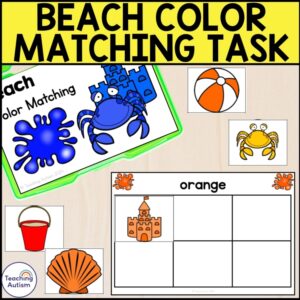 Beach Color Matching Task Box | Beach Task Boxes for Special Education