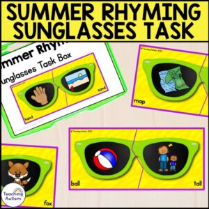 Summer Rhyming Sunglasses Task Box | Beach Task Boxes for Special Education