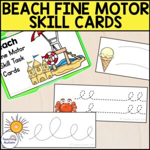 Beach Fine Motor Skill Cards | Beach Task Box Activities
