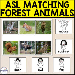 ASL Forest Animals Matching Activity | American Sign Language Activities