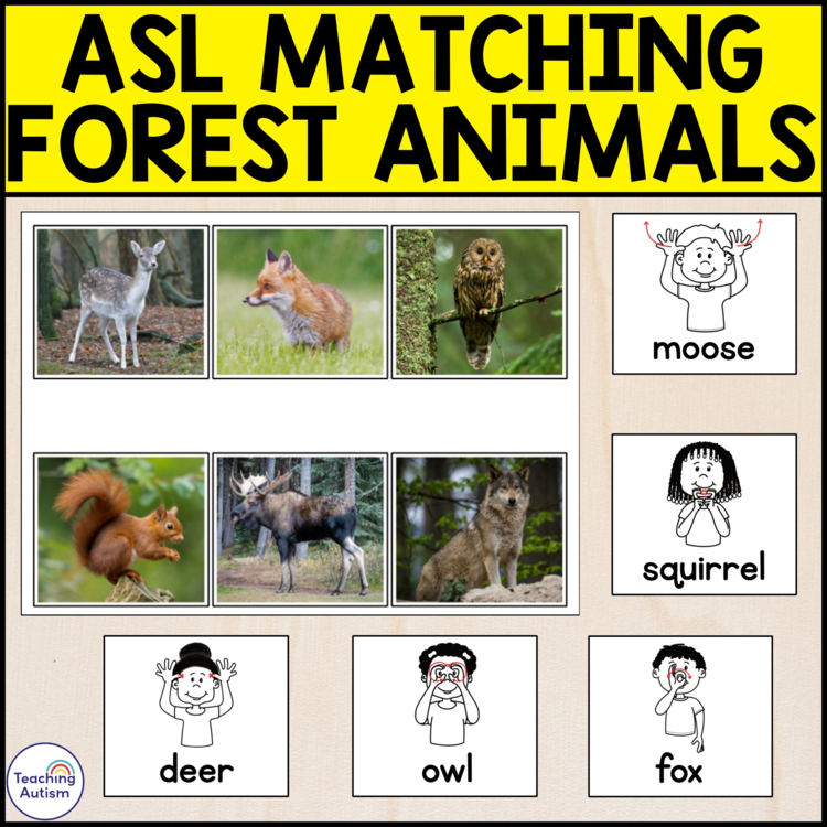 ASL Forest Animals Matching Activity | American Sign Language Activities