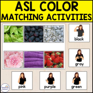 ASL Colors Matching Activity | American Sign Language Activities