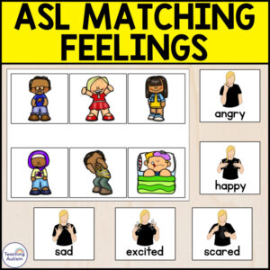 ASL Feelings Matching Activity | American Sign Language Activities