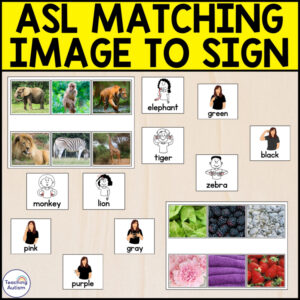 ASL Matching Activities for Special Education | ASL Signs Activities