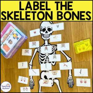 Label the Skeleton Bones Activity | Free Halloween Science Activities