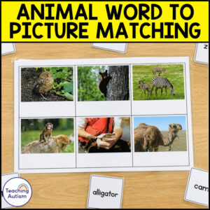 Animal Word to Picture Matching Activities | Reading Comprehension & Vocabulary