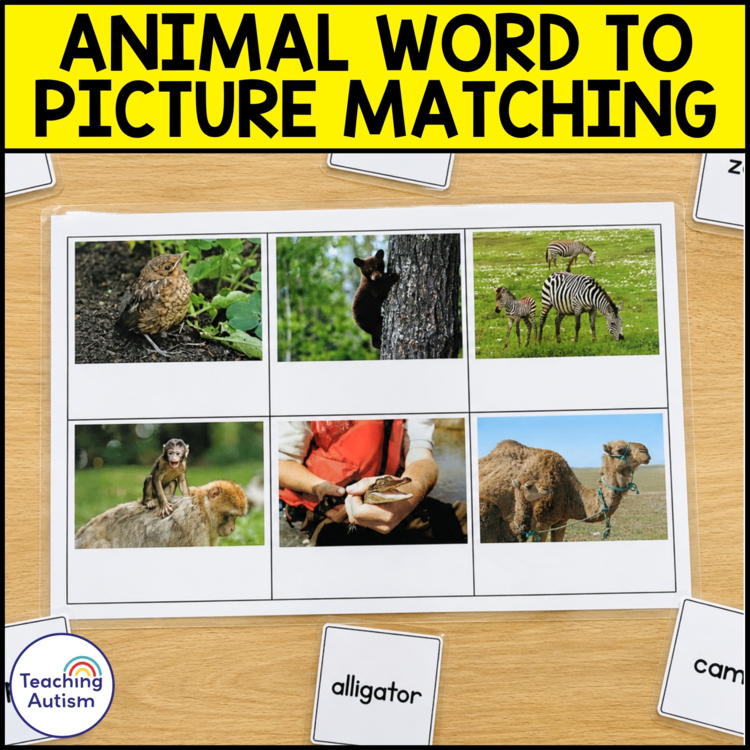 Animal Word to Picture Matching Activities | Reading Comprehension & Vocabulary