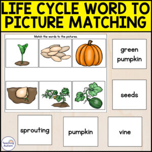 Life Cycles Word to Picture Matching Activities | Life Cycle Activities