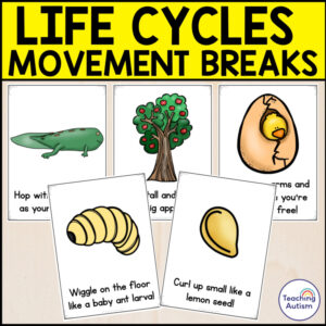 Life Cycles Movement Breaks Cards | Life Cycle Activities