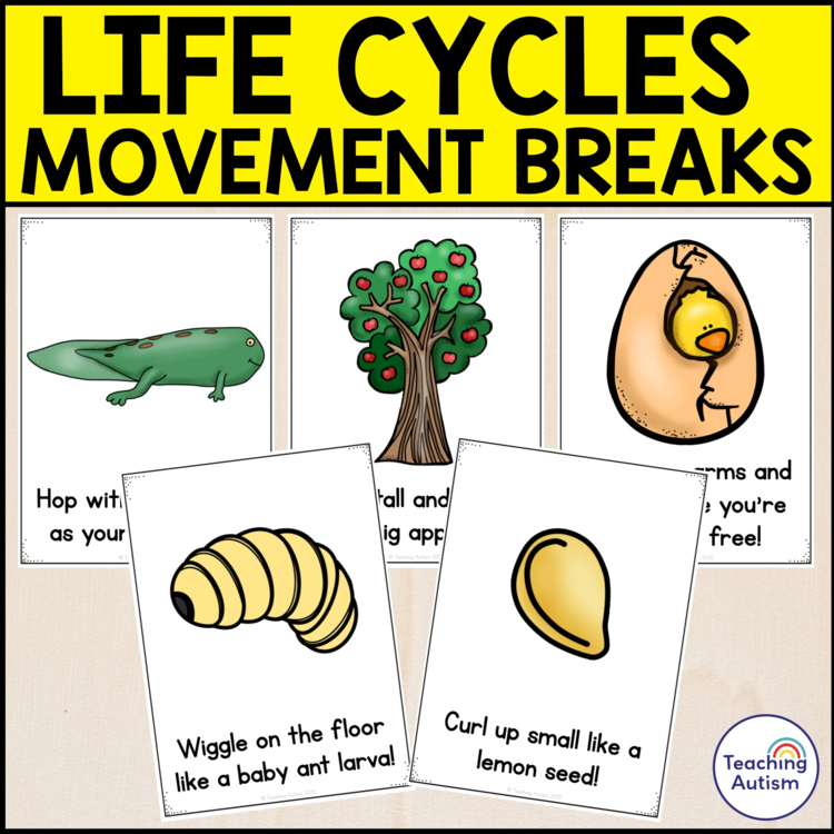 Life Cycles Movement Breaks Cards | Life Cycle Activities