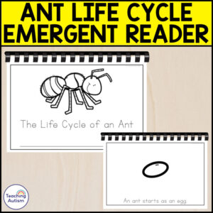 The Life Cycle of an Ant Emergent Reader | Life Cycle Activities