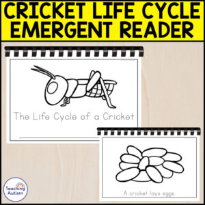 The Life Cycle of a Cricket Emergent Reader | Life Cycle Activities