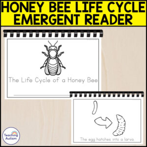 The Life Cycle of a Honey Bee Emergent Reader | Life Cycle Activities