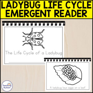 The Life Cycle of a Ladybug Emergent Reader | Life Cycle Activities