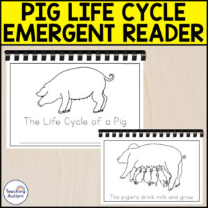 The Life Cycle of a Pig Emergent Reader | Life Cycle Activities