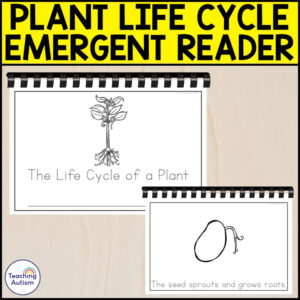 The Life Cycle of a Plant Emergent Reader | Life Cycle Activities