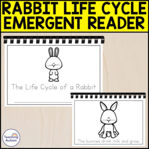The Life Cycle of a Rabbit Emergent Reader | Life Cycle Activities