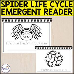 The Life Cycle of a Spider Emergent Reader | Life Cycle Activities