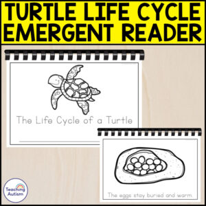 The Life Cycle of a Turtle Emergent Reader | Life Cycle Activities