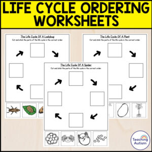 Life Cycle Worksheets | 30 Life Cycle No Prep Worksheets