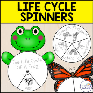 Life Cycle Spinner Activities | Life Cycle Spinner Crafts