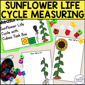 Measuring Sunflowers Life Cycle with Snap Cubes Task Box