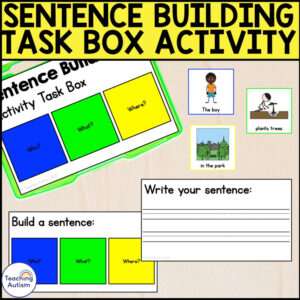 Who What Where Sentence Building Task Box