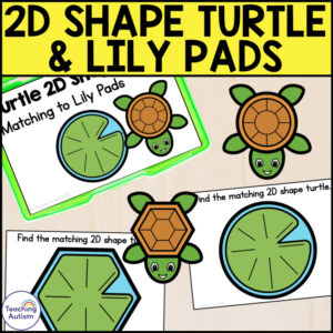 2D Turtle and Lily Pad Matching Task Box | Turtle Math Activities