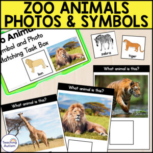 Zoo Animal Symbol to Photo Matching Task  | Zoo Task Boxes for Special Education