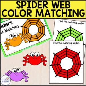Spider and Spiderweb Color Matching Task Box | Halloween Special Education