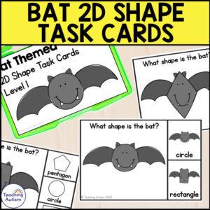 Bat 2D Shape Matching Task Box | Bat Math Activities