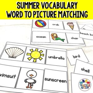 Summer Vocabulary Matching Words to Pictures