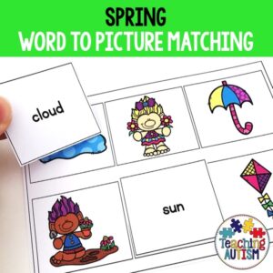 Spring Word to Picture Matching Activities | Vocabulary & Reading for Special Ed