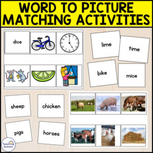 Word to Picture Matching Activities for Special Education