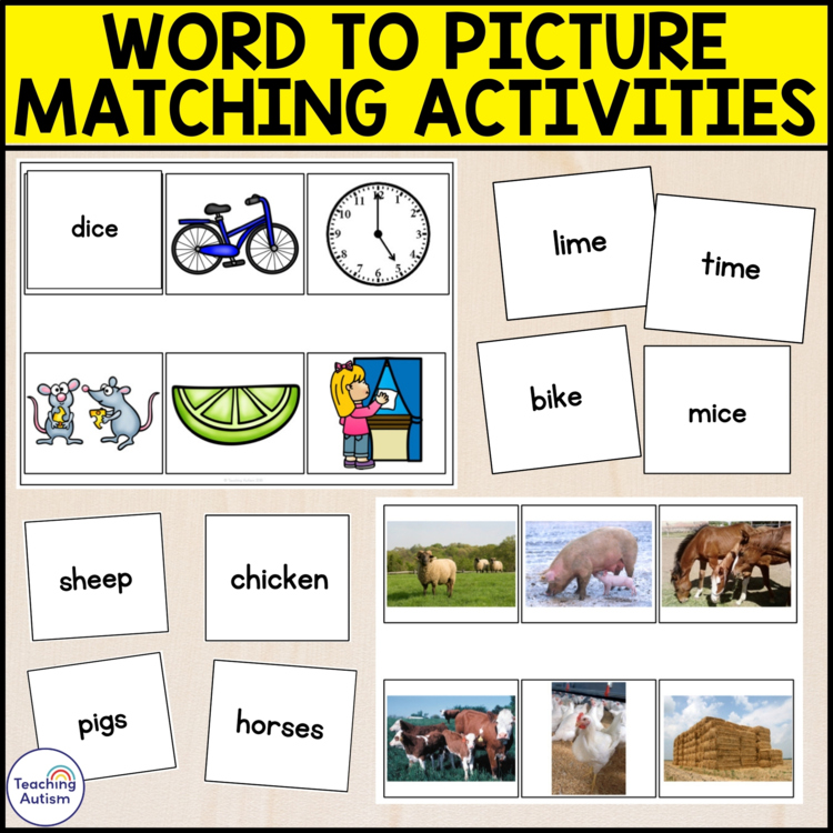 Word to Picture Matching Activities for Special Education