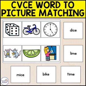 CVCE Word to Picture Matching Activity